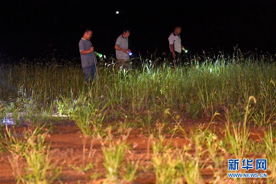 （防汛抗洪&middot;圖文互動）（2）&ldquo;保衛(wèi)家園，誰都不能是旁觀者&rdquo;&mdash;&mdash;夜訪洞庭湖大堤防汛一線