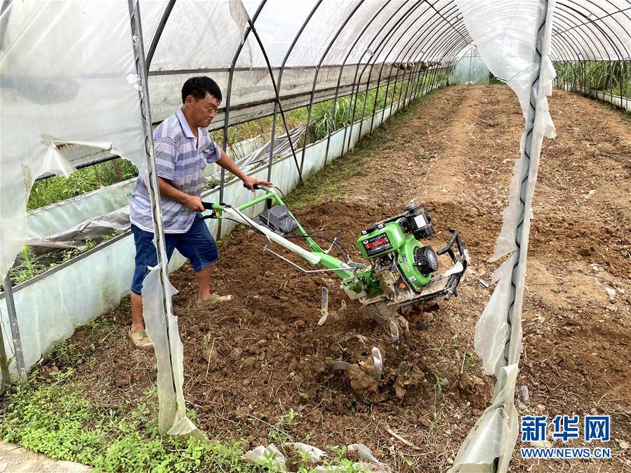 （防汛抗洪&middot;圖文互動）（3）修路通水忙重建 補種搶收復生產(chǎn)&mdash;&mdash;湘西山洪后恢復生產(chǎn)生活見聞