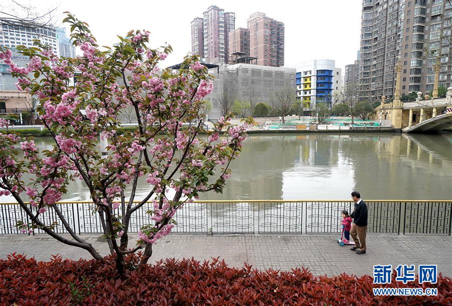 （新華全媒頭條&middot;走向我們的小康生活&middot;圖文互動(dòng)）（12）城市，讓人民生活更美好