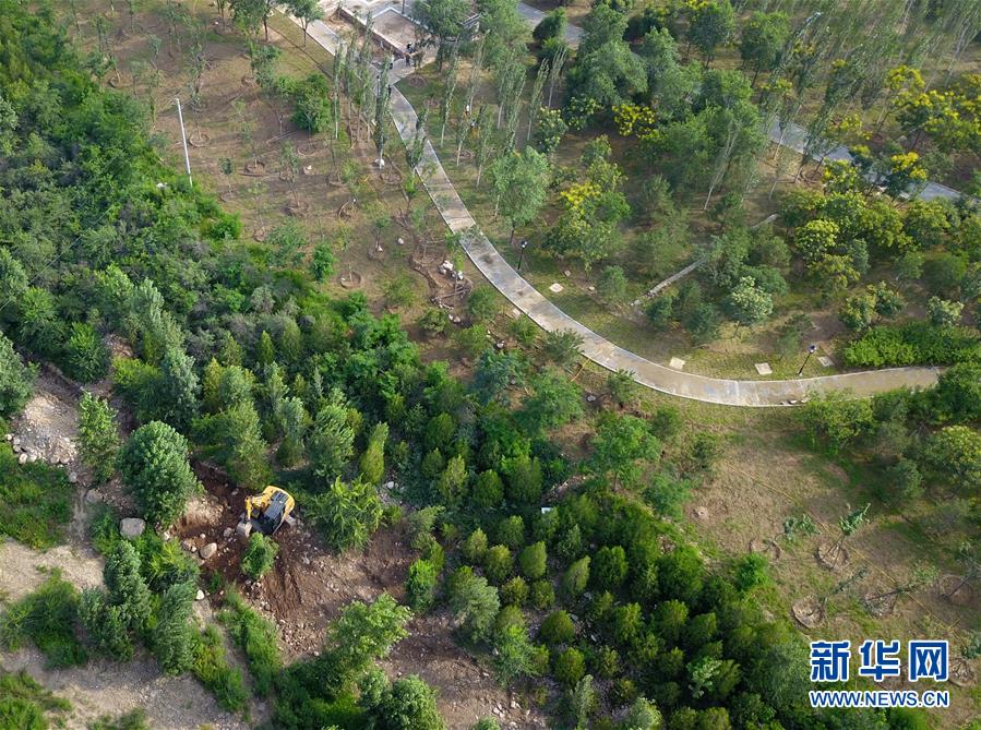 （新華全媒頭條&middot;圖文互動）（15）扎實推進籌辦，不負青春韶華&mdash;&mdash;北京冬奧會籌辦備戰(zhàn)克服疫情影響平穩(wěn)推進