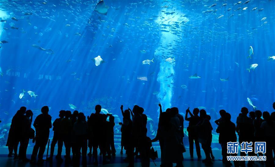 （在習(xí)近平新時(shí)代中國(guó)特色社會(huì)主義思想指引下&mdash;&mdash;新時(shí)代新作為新篇章&middot;習(xí)近平總書(shū)記關(guān)切事&middot;圖文互動(dòng)）（9）感受開(kāi)放新魅力&mdash;&mdash;海南自由貿(mào)易港建設(shè)開(kāi)局觀察