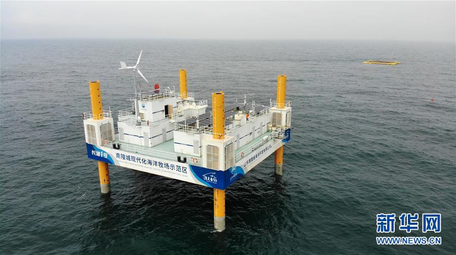 （新華全媒頭條&middot;走向我們的小康生活&middot;圖文互動(dòng)）（5）幸福小康入畫來(lái)&mdash;&mdash;齊魯大地描繪小康新畫卷