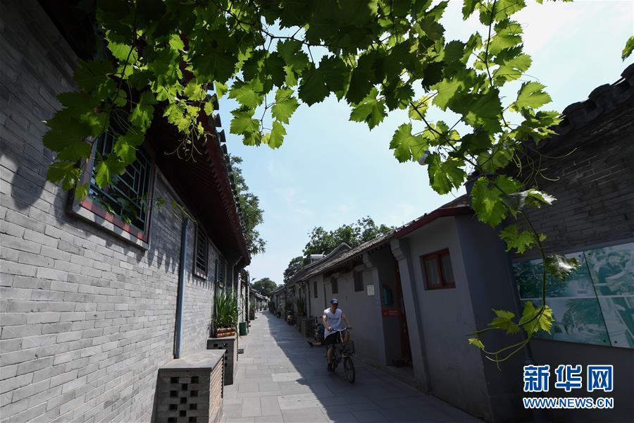 （走向我們的小康生活&middot;圖文互動）（1）小橋、流水、書香、人家&mdash;&mdash;老北京胡同里的恬靜棲居