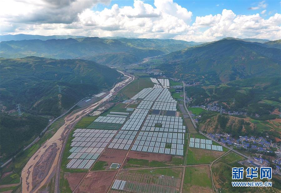 （新華全媒頭條&middot;決戰(zhàn)決勝脫貧攻堅&middot;督戰(zhàn)未摘帽貧困縣&middot;圖文互動）（10）苦蕎花開大涼山&mdash;&mdash;四川7個未摘帽縣脫貧攻堅一線觀察