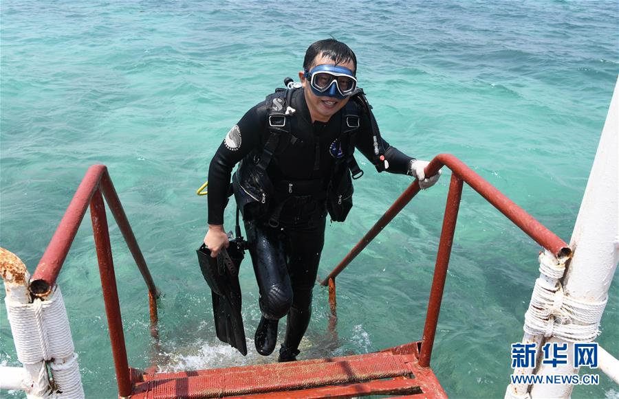 （在習(xí)近平新時(shí)代中國特色社會(huì)主義思想指引下&mdash;&mdash;新時(shí)代新作為新篇章&middot;習(xí)近平總書記關(guān)切事&middot;圖文互動(dòng)）（5）終不悔為國為民，攀高峰只爭朝夕&mdash;&mdash;來自科學(xué)家們的動(dòng)人故事