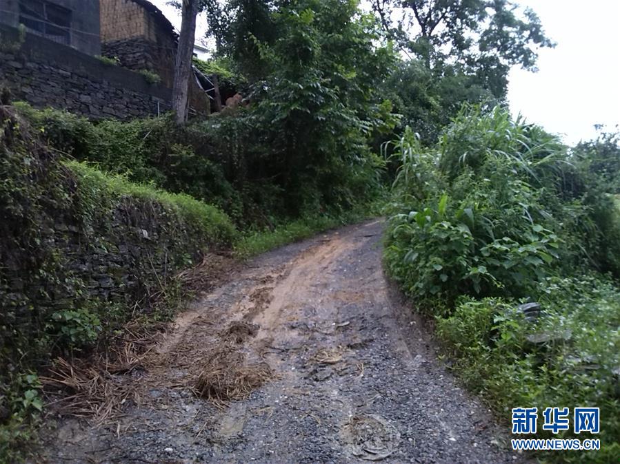 （集中連片特困地區(qū)貧困村調(diào)研行&middot;圖文互動(dòng)）（3）百果園里幸福長&mdash;&mdash;湖南鳳凰縣菖蒲塘村脫貧調(diào)查