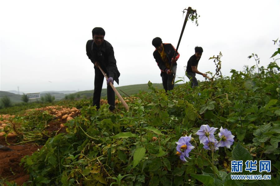 （新華全媒頭條&middot;走向我們的小康生活&middot;決戰(zhàn)決勝脫貧攻堅&middot;圖文互動）（6）昭通之變&mdash;&mdash;全國貧困人口最多的地級市跨越記