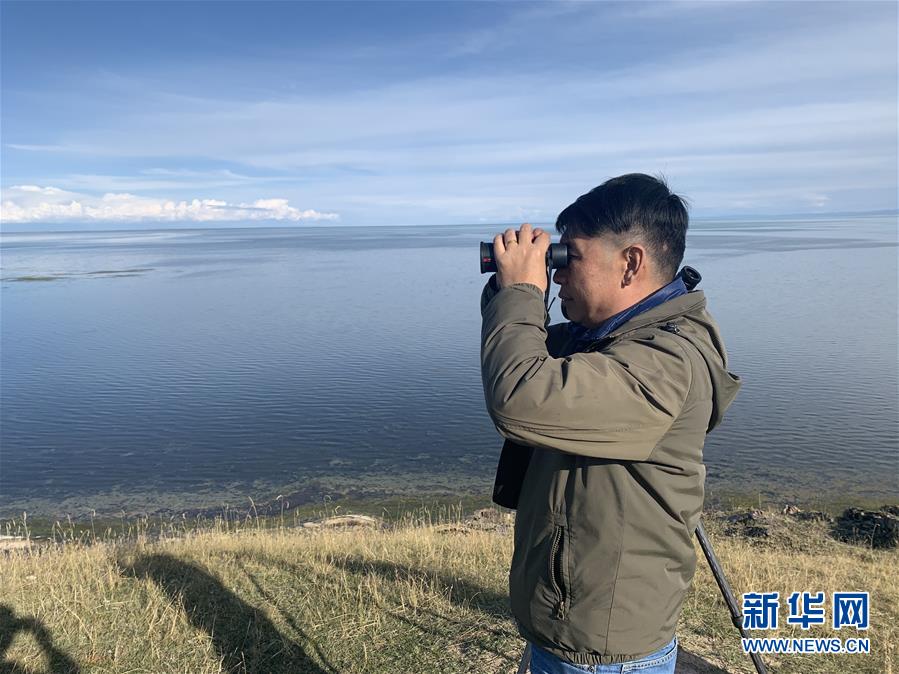 （新華全媒頭條&middot;圖文互動）（9）大湖見證 &mdash;&mdash;持續(xù)保護(hù)讓青海湖生態(tài)華麗&ldquo;蝶變&rdquo;