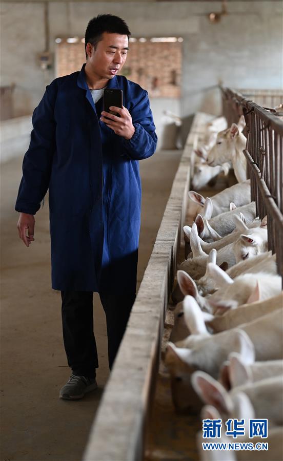 （五中全會精神在基層&middot;圖文互動）（4）大學生&ldquo;羊倌&rdquo;成了致富&ldquo;領頭羊&rdquo;