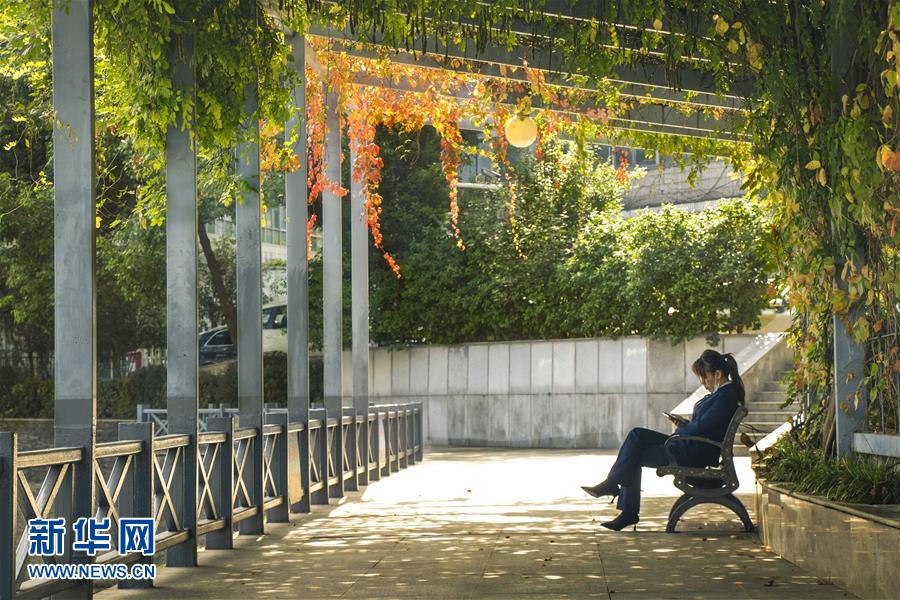（全面建成小康社會&ldquo;百城千縣萬村調(diào)研行&rdquo;&middot;圖文互動(dòng)）（2）武漢：從&ldquo;見縫插樓&rdquo;到&ldquo;見縫播綠&rdquo;
