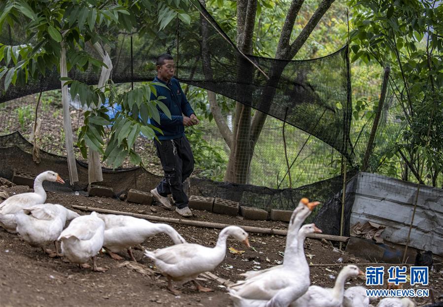 （新華全媒頭條&middot;兩會(huì)精神看落實(shí)&middot;圖文互動(dòng)）（8）培育新機(jī) 開辟新局&mdash;&mdash;落實(shí)全國兩會(huì)精神激發(fā)經(jīng)濟(jì)發(fā)展新動(dòng)能述評