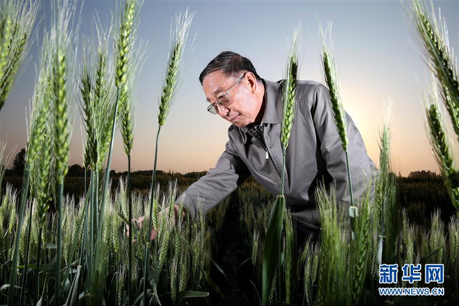 （&ldquo;中國(guó)面貌&rdquo;系列述評(píng)&middot;圖文互動(dòng)）（4）創(chuàng)新中國(guó)&mdash;&mdash;70年中國(guó)面貌變遷述評(píng)之二