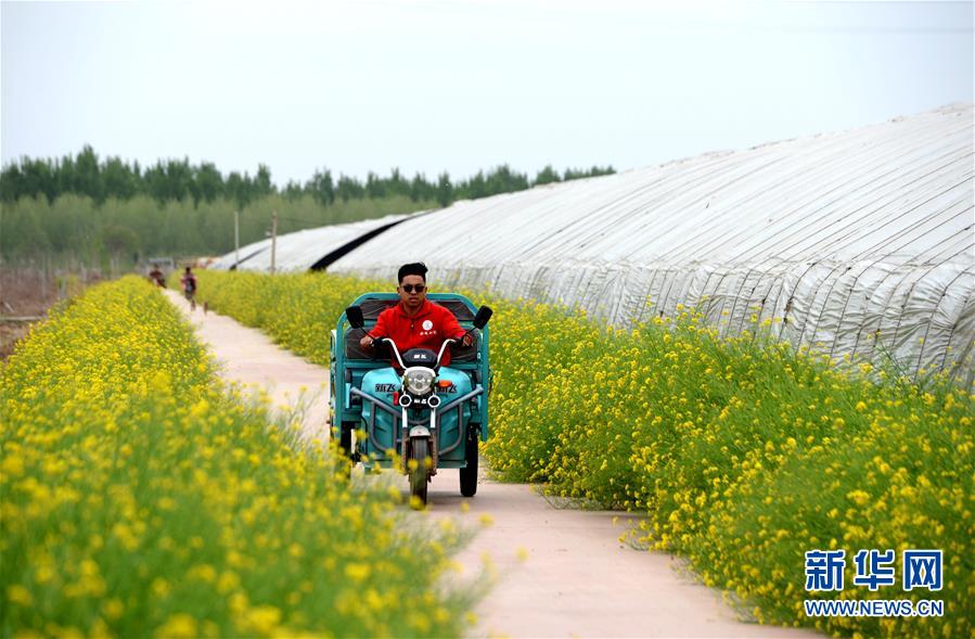 （在習(xí)近平新時(shí)代中國特色社會(huì)主義思想指引下&mdash;&mdash;新時(shí)代新作為新篇章&middot;總書記關(guān)心的百姓身邊事&middot;圖文互動(dòng)）（3）&ldquo;農(nóng)&rdquo;字頭照樣&ldquo;大&rdquo;作為&mdash;&mdash;豐收時(shí)節(jié)看涉農(nóng)高校人才在希望的田野