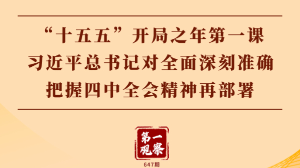 習(xí)近平總書記對(duì)全面深刻準(zhǔn)確把握四中全會(huì)精神再部署