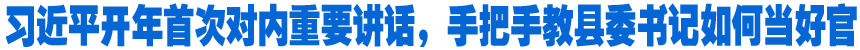 習(xí)近平開(kāi)年首次對(duì)內(nèi)重要講話(huà)，手把手教縣委書(shū)記如何當(dāng)好官