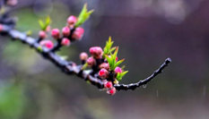 隨心而行，走走停停始終精彩。
