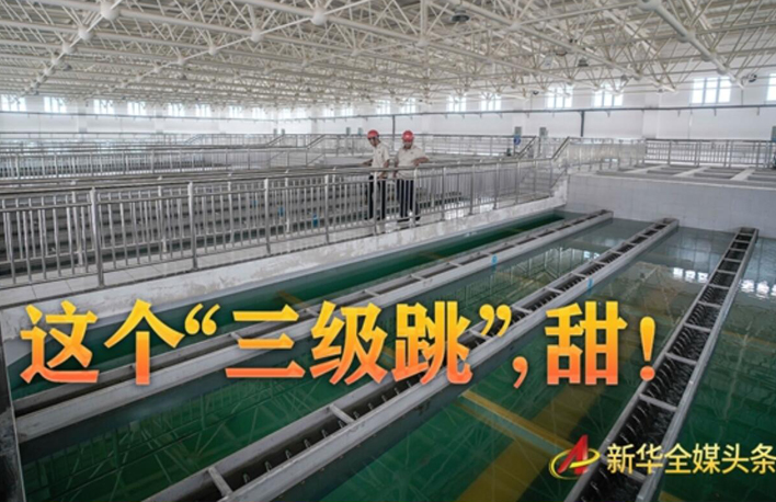 這個&ldquo;三級跳&rdquo;，甜！