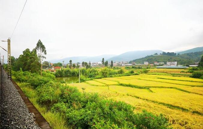 坐著高鐵看中國｜走成昆，感受闖過禁區(qū)的光影記錄