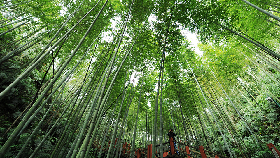 合作共治、責(zé)任共擔(dān)、效益共享&mdash;&mdash;赤水河流域跨省生態(tài)補(bǔ)償取得積極成效