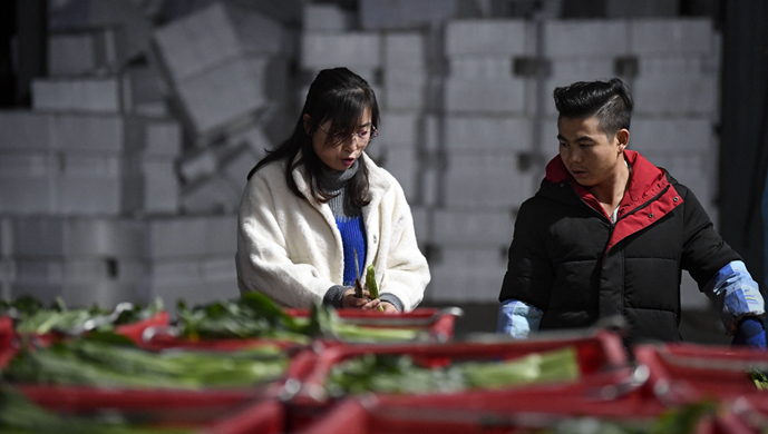 【圖片故事】脫貧路上&ldquo;她&rdquo;力量：&ldquo;菜媽媽&rdquo;馮婭紅