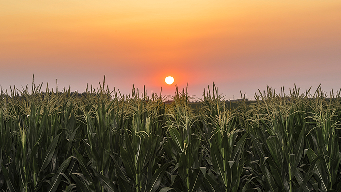 風(fēng)卷紅旗過大關(guān)&mdash;&mdash;以習(xí)近平同志為核心的黨中央領(lǐng)航中國(guó)為實(shí)現(xiàn)第一個(gè)百年奮斗目標(biāo)而奮勇拼搏紀(jì)實(shí)