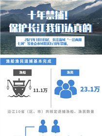 十年禁捕！保護(hù)長(zhǎng)江我們認(rèn)真的
