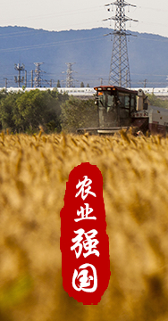 農(nóng)業(yè)強(qiáng)國(guó)是社會(huì)主義現(xiàn)代化強(qiáng)國(guó)的根基。