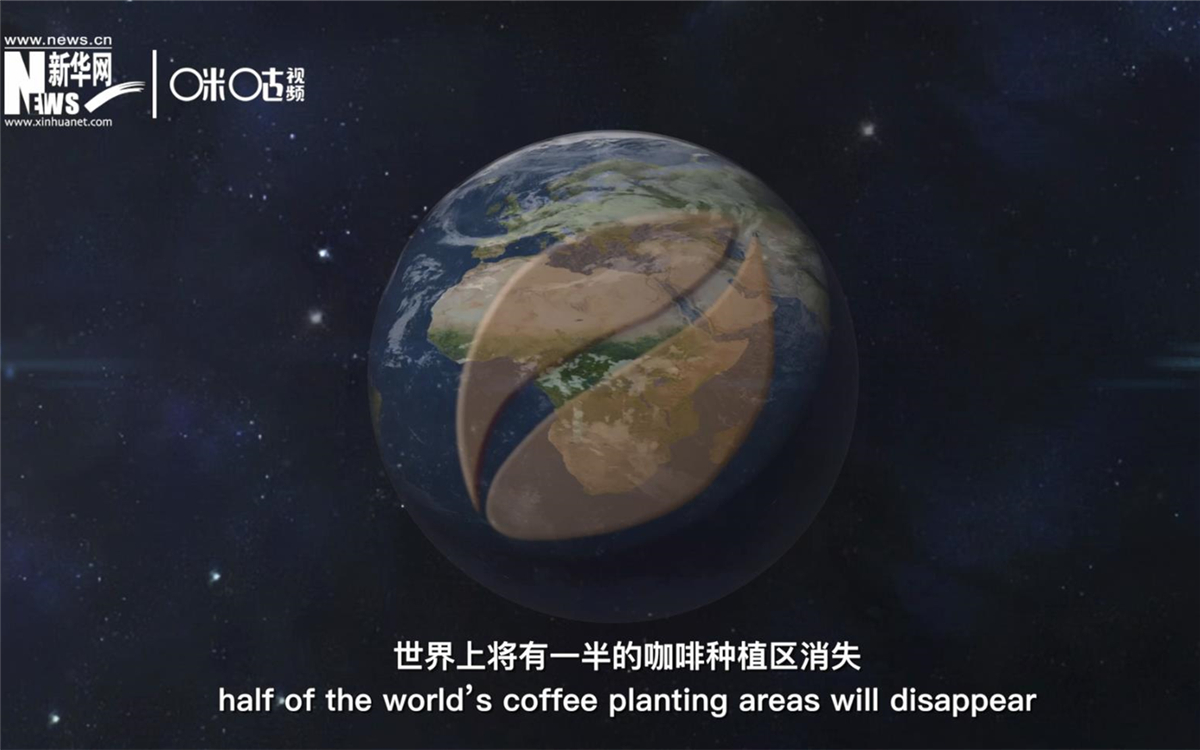 科學家預(yù)測到三十年后，世界上將有一半的咖啡種植區(qū)消失