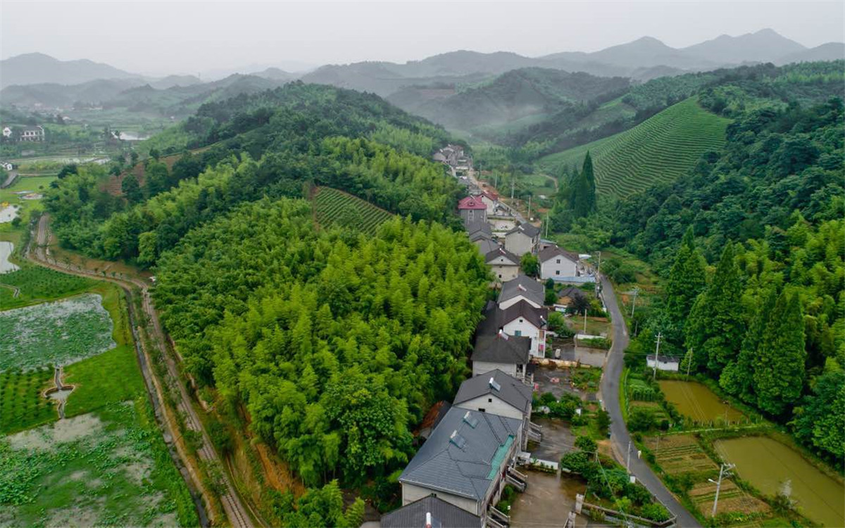 從2003年起，浙江省開展了&ldquo;千村示范、萬村整治&rdquo;工程