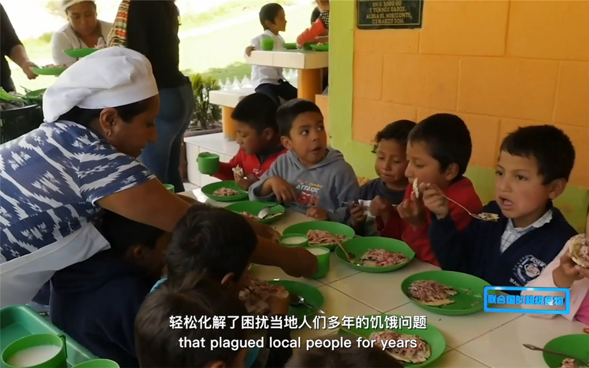 藜麥的蹤跡遍布北美、歐洲、亞洲和非洲多地