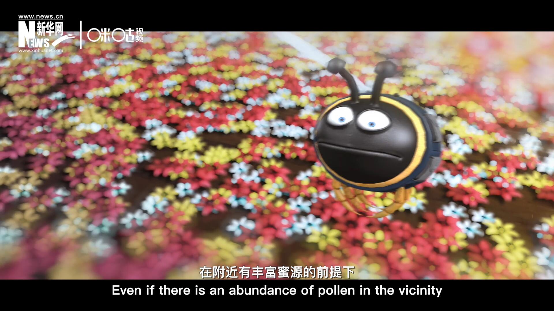 你知道一只蜜蜂采一公斤蜜有多辛苦嗎？據(jù)統(tǒng)計(jì)，在附近有豐富蜜源的前提下，一只蜜蜂大約需要飛行四萬千米