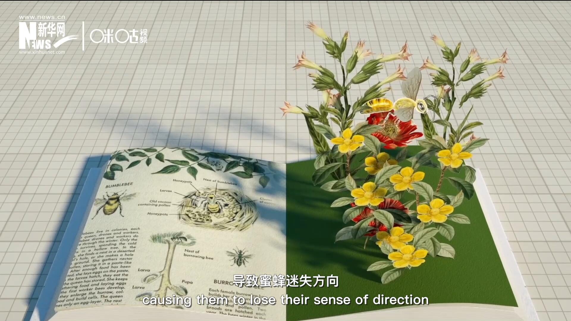 殺蟲劑會(huì)破壞蜜蜂的神經(jīng)系統(tǒng)，導(dǎo)致蜜蜂迷失方向，無法回到蜂房，還會(huì)降低蜜蜂的抵抗力