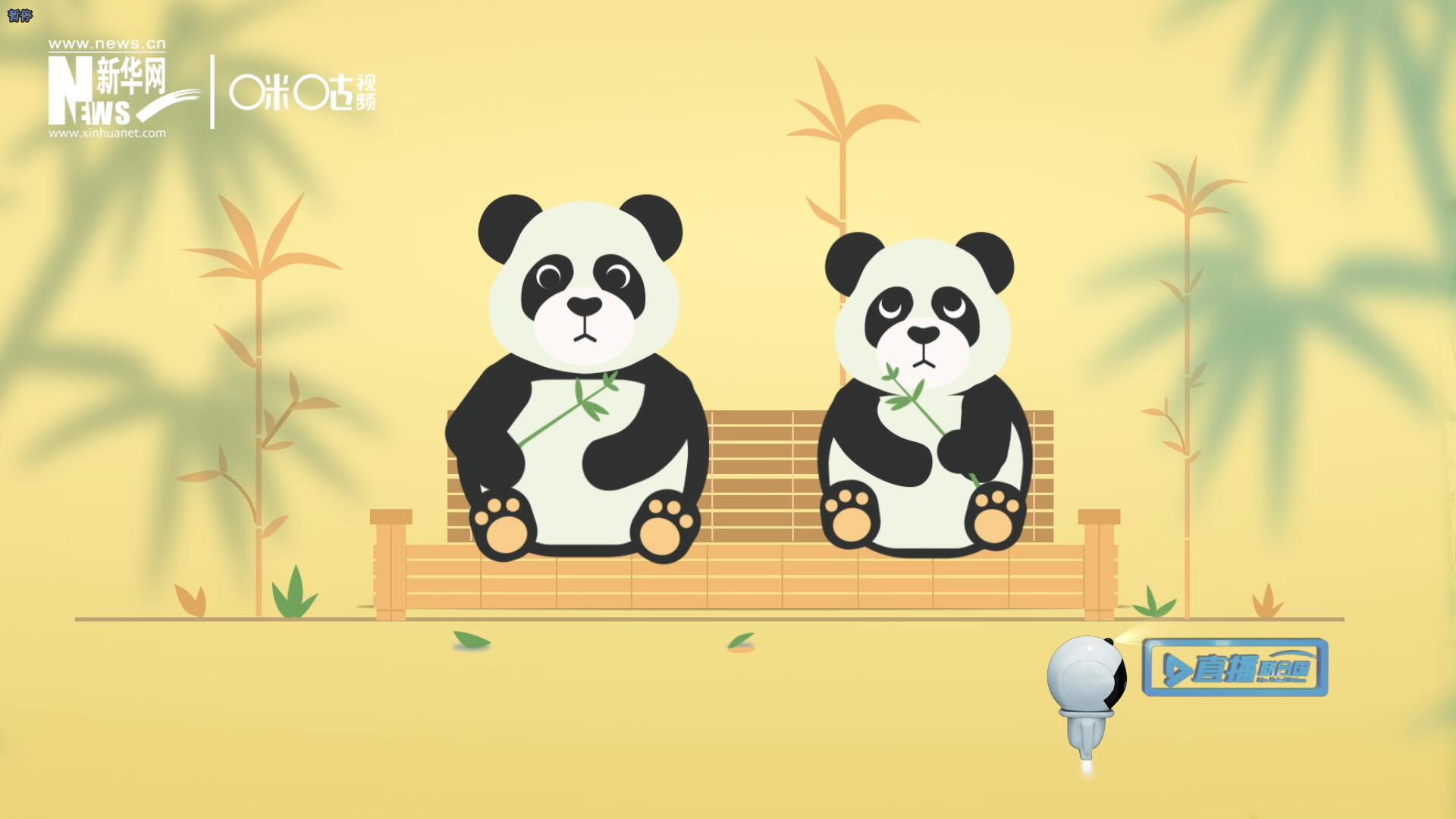 &ldquo;哥哥你看，又有人來(lái)看我們了。&rdquo;&ldquo;有什么奇怪的，我們可是聯(lián)合國(guó)&lsquo;最萌&rsquo;的大使?。?rdquo;。