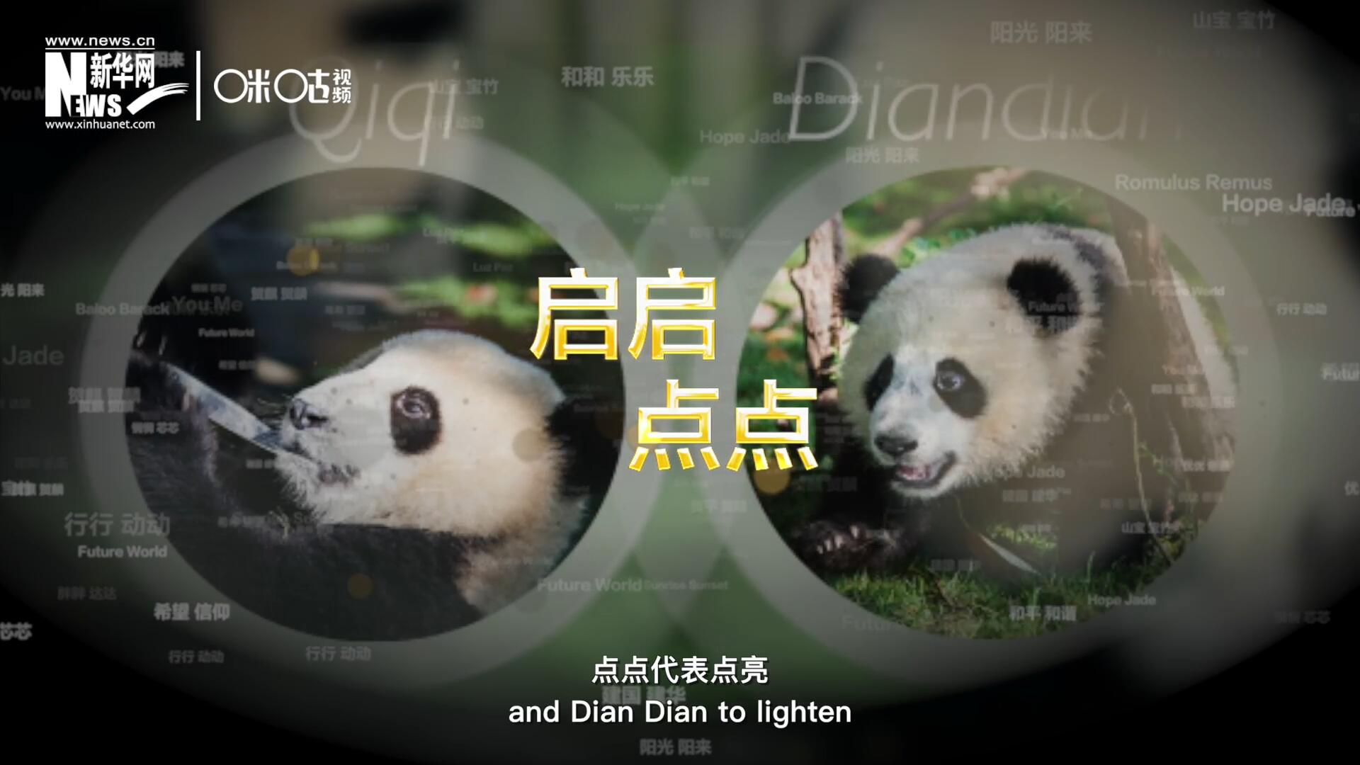 啟啟代表&ldquo;啟發(fā)&rdquo;，點(diǎn)點(diǎn)代表&ldquo;點(diǎn)亮&rdquo;，象征著2030年可持續(xù)發(fā)展議程 的&ldquo;起點(diǎn)&rdquo;，也象征著全球可持續(xù)發(fā)展路徑的新起點(diǎn)。