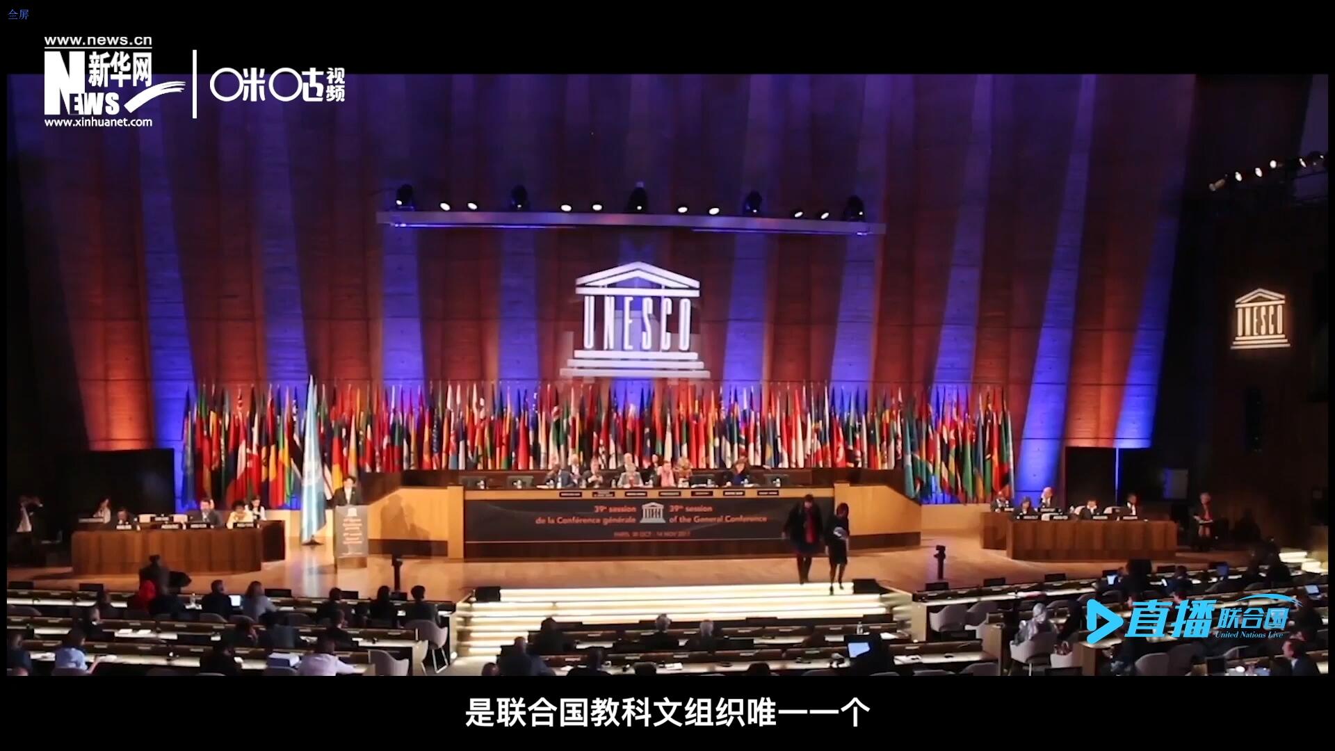 民間藝術(shù)國(guó)際組織成立于1979年，是聯(lián)合國(guó)教科文組織唯一一個(gè)以保護(hù)和挖掘國(guó)際民間藝術(shù)為工作中心的國(guó)際機(jī)構(gòu)。