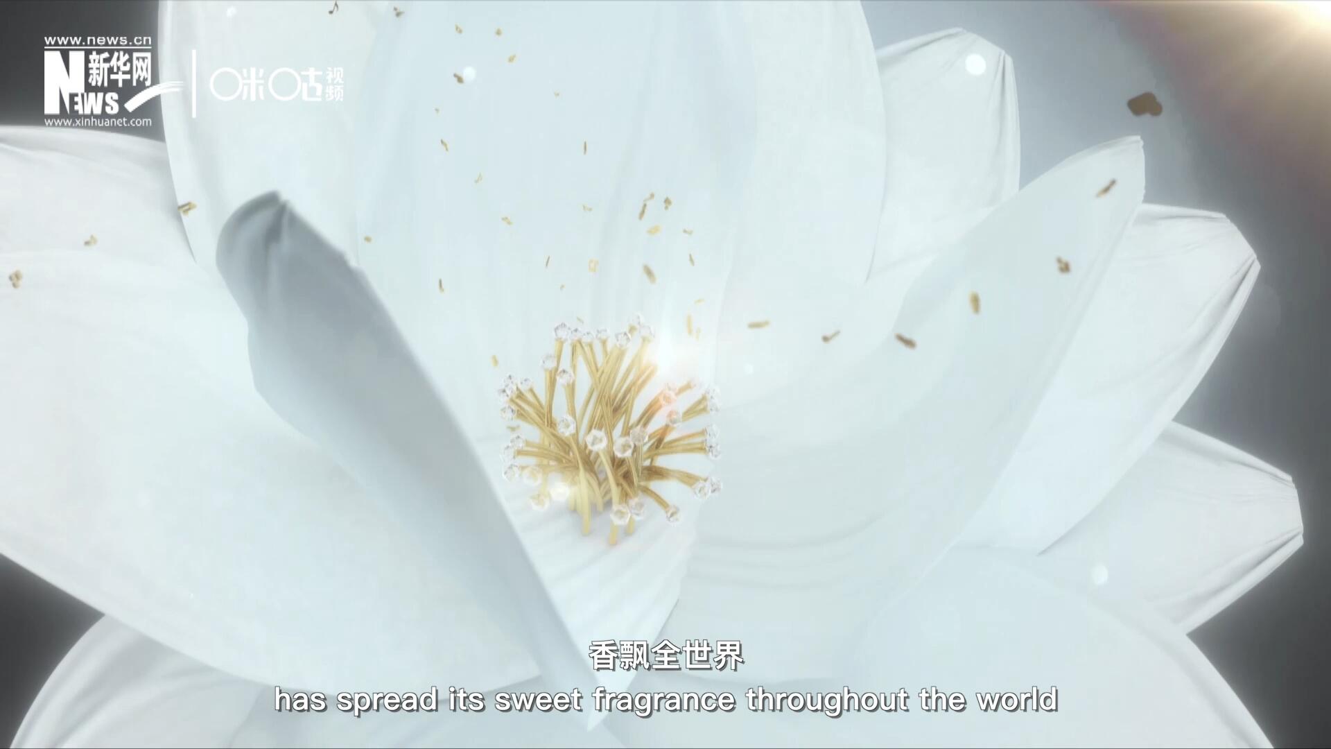 一朵茉莉花，香飄全世界。這首充滿民族特色的經(jīng)典旋律，在世界范圍內(nèi)廣為流傳，是極具辨識度的東方音樂符號。
