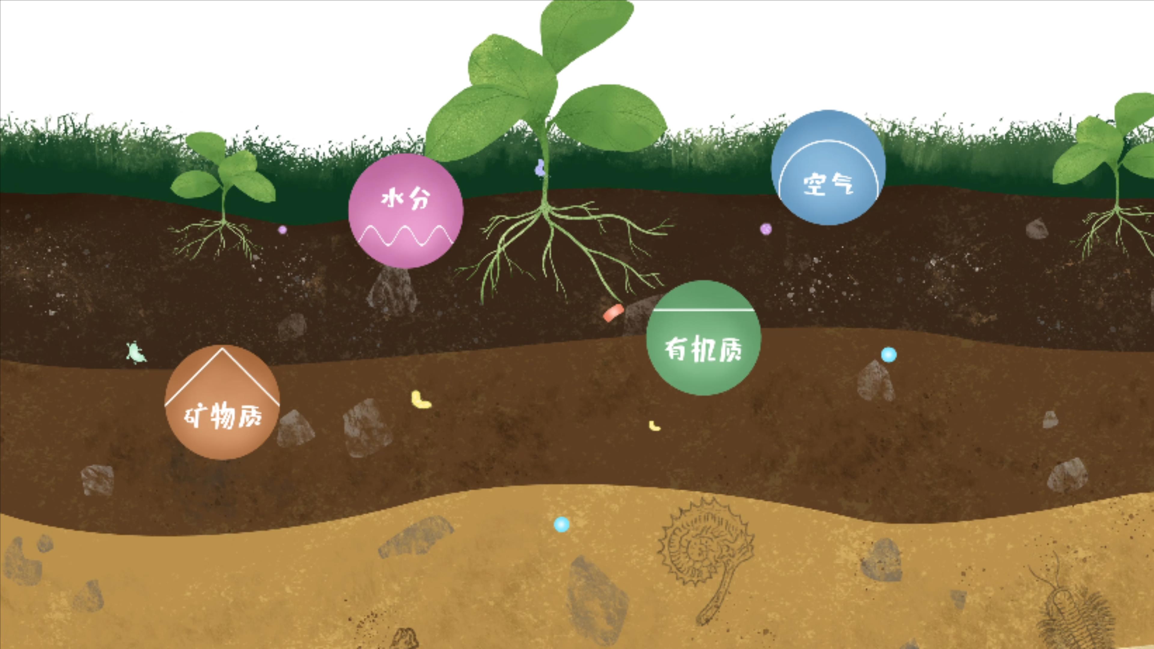 土壤由礦物質、有機質、水分、空氣及包括微生物在內的生物體等組成