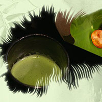 熱茶與伏天的關(guān)系，只有清涼