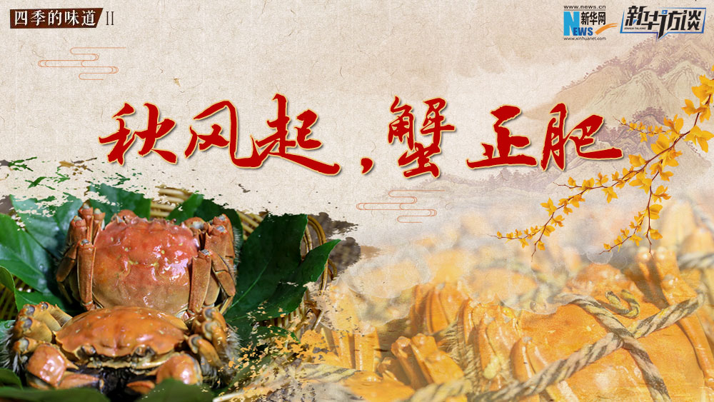 秋風(fēng)起，蟹正肥