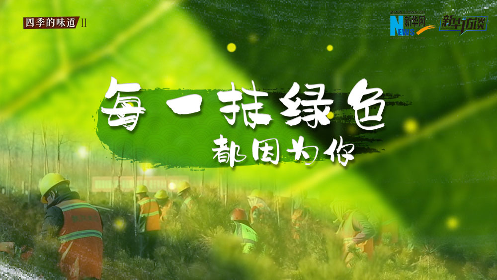 千年秀林，每一抹綠色都因?yàn)槟? /></p>
<p class=