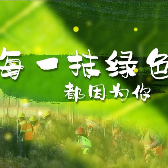 千年秀林，每一抹綠色都因為你