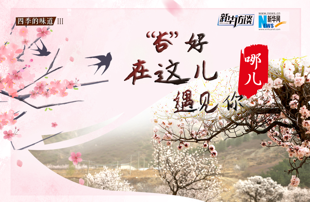 哪兒？&ldquo;杏&rdquo;好在這兒遇見你！