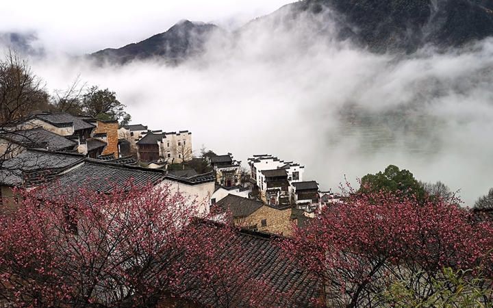江西：奮力脫貧攻堅(jiān) 生態(tài)追&ldquo;清&rdquo;逐&ldquo;綠&rdquo;