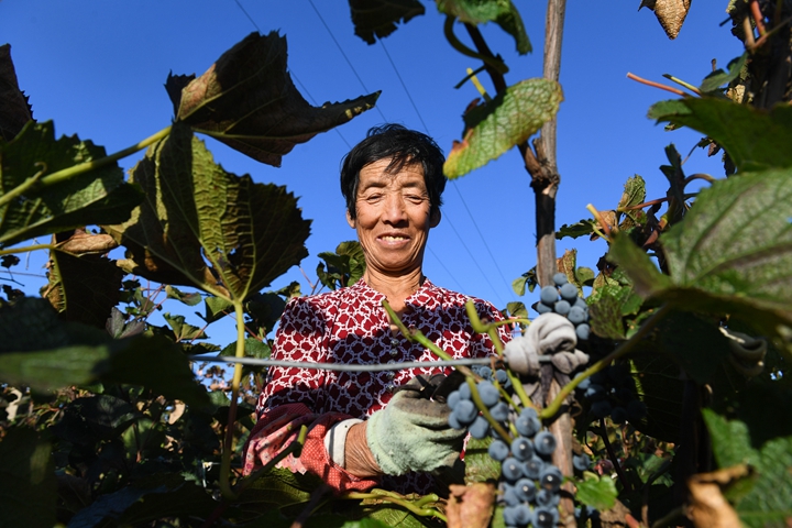 鏗鏘的時代樂章&mdash;&mdash;黨的十八大以來習近平 總書記考察調研過的貧困村脫貧調查
