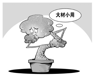 自認(rèn)&ldquo;大材小用&rdquo;，不如腳踏實(shí)地