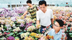 臺商眼中的改革開放：風(fēng)景這邊獨好 要去，要去，要去！