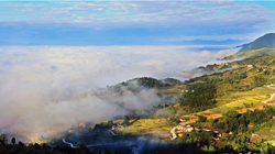 臺胞臺商熱議陜西惠臺&ldquo;60條&rdquo;：期盼落實、共享機遇