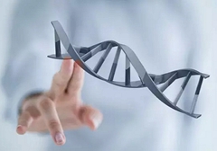 小細(xì)胞肺癌需要做基因檢測嗎？