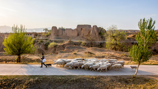 追夢足跡｜上馬圈：鐵馬冰河，黃土斑駁