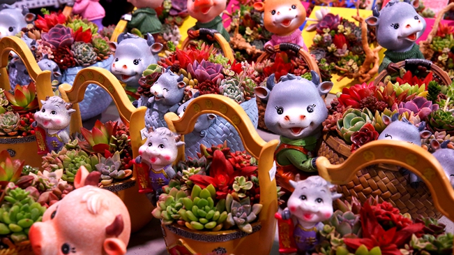 就地過年 你準(zhǔn)備好了嗎？